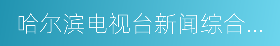 哈尔滨电视台新闻综合频道的同义词