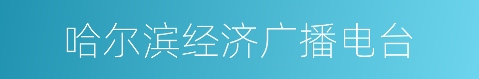 哈尔滨经济广播电台的同义词