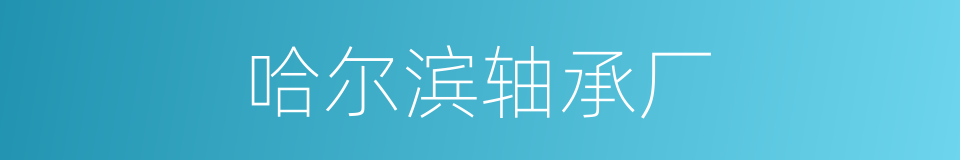 哈尔滨轴承厂的同义词