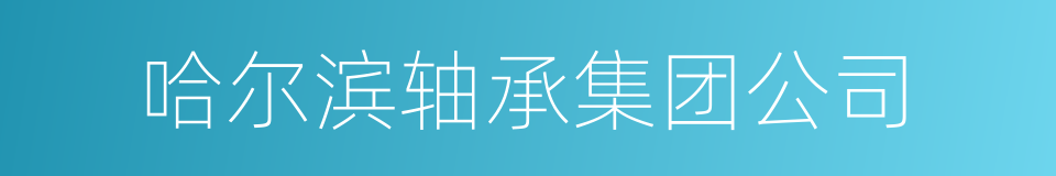 哈尔滨轴承集团公司的同义词