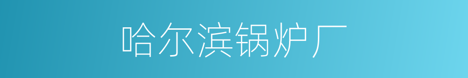 哈尔滨锅炉厂的同义词