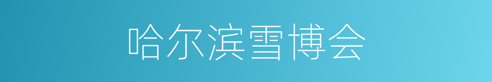 哈尔滨雪博会的同义词