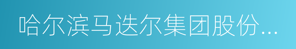 哈尔滨马迭尔集团股份有限公司的同义词