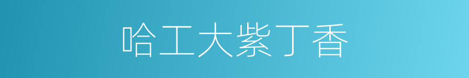 哈工大紫丁香的同义词