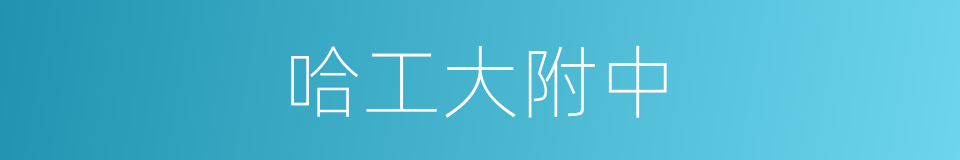 哈工大附中的同义词