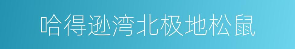 哈得逊湾北极地松鼠的同义词