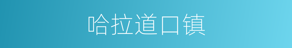 哈拉道口镇的同义词