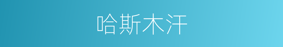 哈斯木汗的同义词