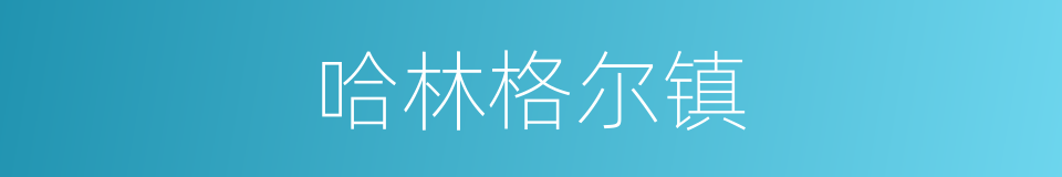 哈林格尔镇的同义词