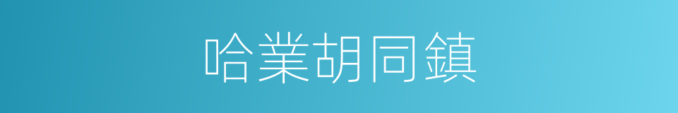 哈業胡同鎮的同義詞