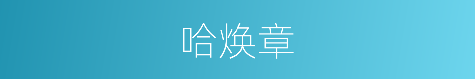 哈焕章的同义词