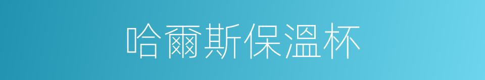 哈爾斯保溫杯的同義詞