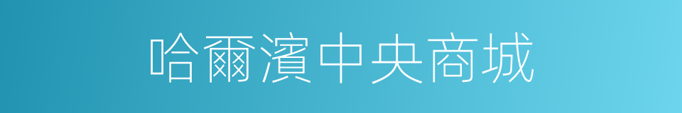 哈爾濱中央商城的同義詞