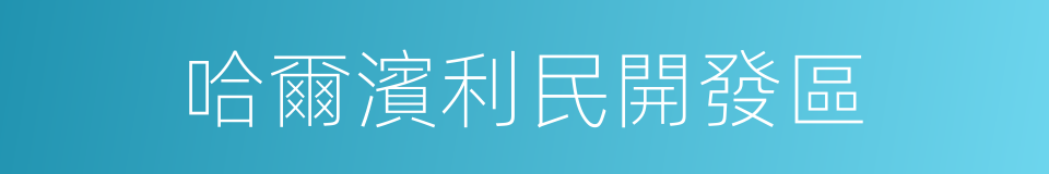 哈爾濱利民開發區的同義詞