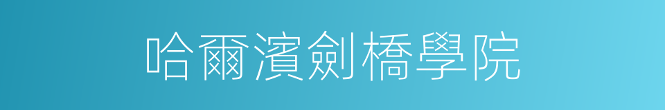 哈爾濱劍橋學院的同義詞