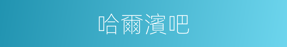 哈爾濱吧的同義詞