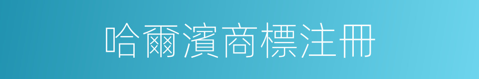 哈爾濱商標注冊的同義詞