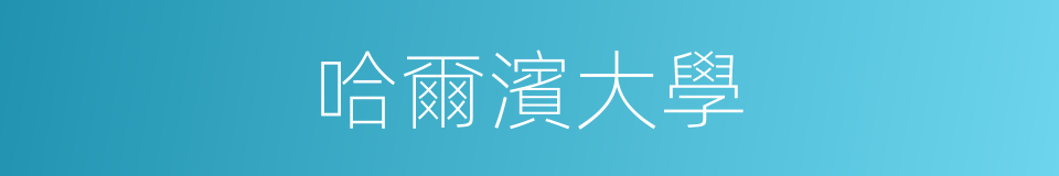 哈爾濱大學的同義詞