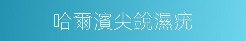 哈爾濱尖銳濕疣的同義詞