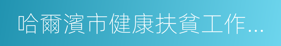 哈爾濱市健康扶貧工作實施方案的同義詞