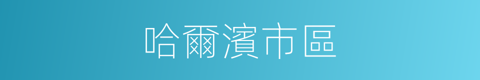 哈爾濱市區的同義詞