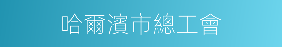 哈爾濱市總工會的同義詞