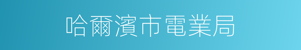 哈爾濱市電業局的同義詞