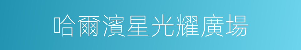 哈爾濱星光耀廣場的同義詞