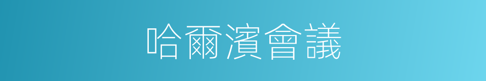 哈爾濱會議的同義詞