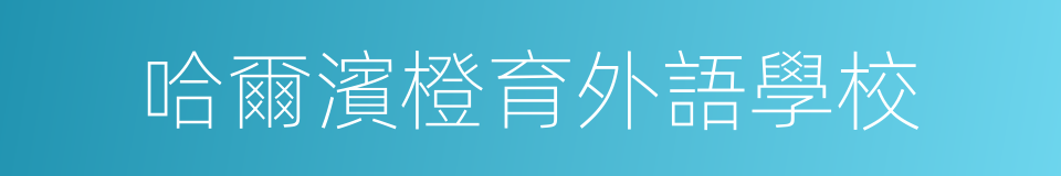 哈爾濱橙育外語學校的同義詞