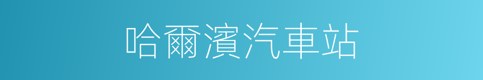哈爾濱汽車站的同義詞