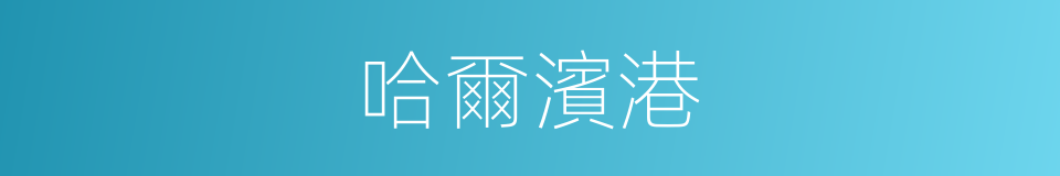 哈爾濱港的同義詞