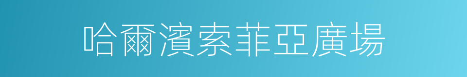 哈爾濱索菲亞廣場的同義詞