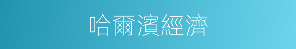 哈爾濱經濟的同義詞