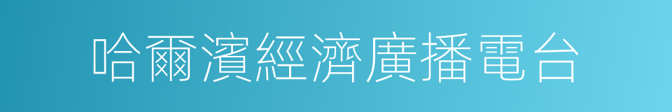 哈爾濱經濟廣播電台的同義詞