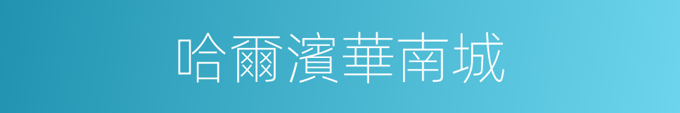 哈爾濱華南城的同義詞