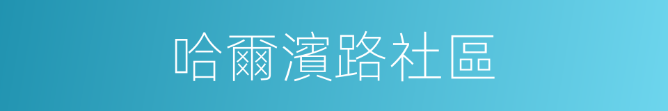 哈爾濱路社區的同義詞