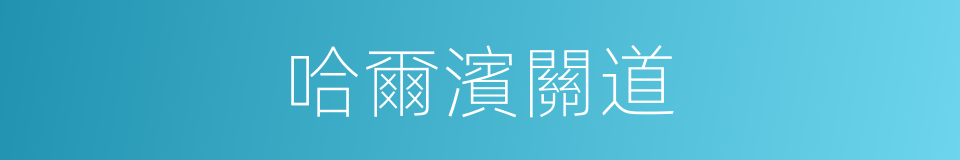 哈爾濱關道的同義詞