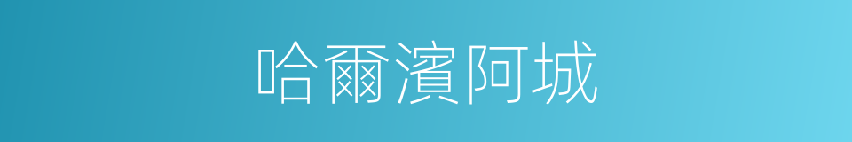 哈爾濱阿城的同義詞