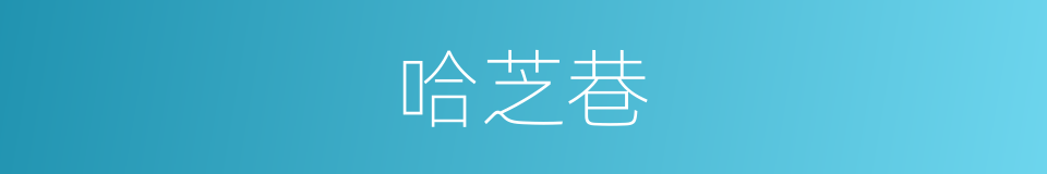 哈芝巷的同义词