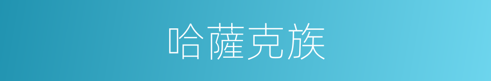哈薩克族的意思