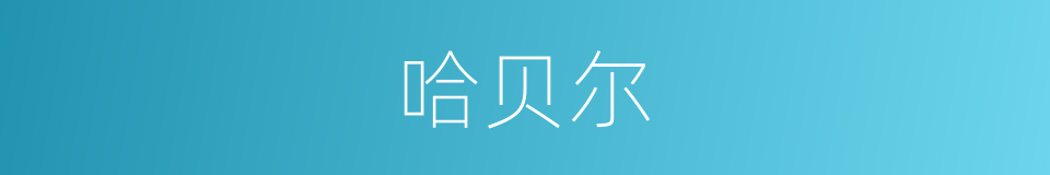 哈贝尔的同义词