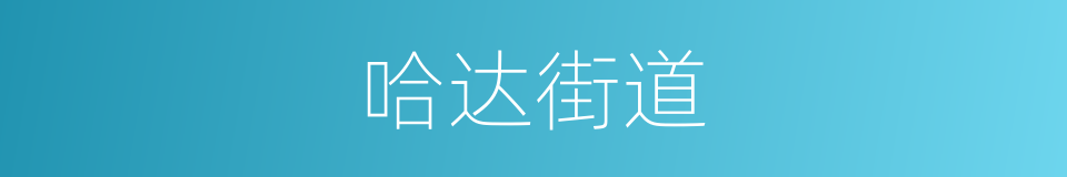 哈达街道的意思