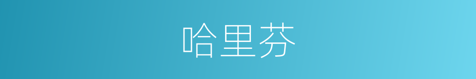 哈里芬的同义词