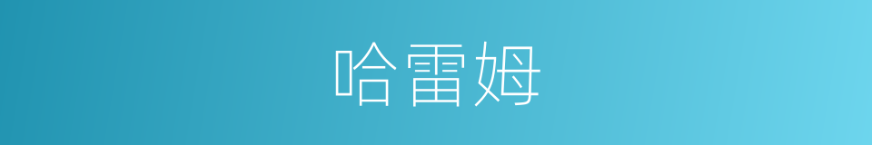 哈雷姆的同义词