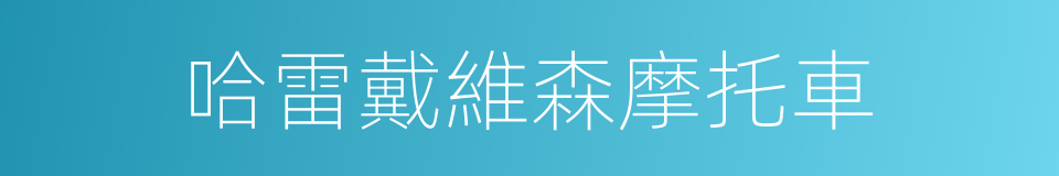 哈雷戴維森摩托車的同義詞