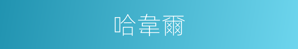 哈韋爾的同義詞