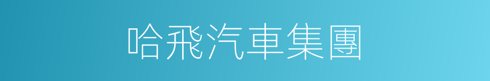 哈飛汽車集團的同義詞