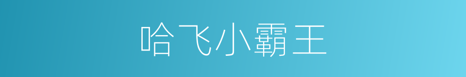 哈飞小霸王的同义词