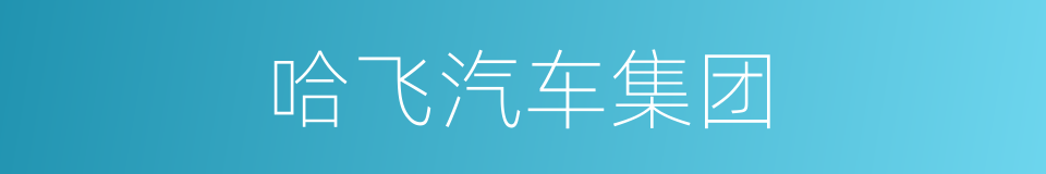 哈飞汽车集团的同义词